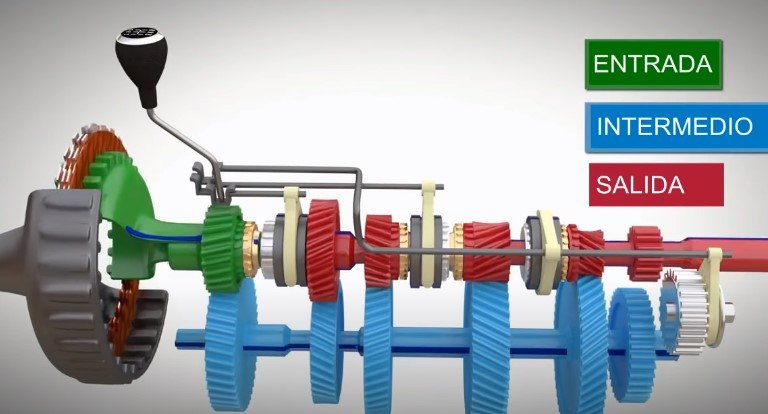 enfermedad dolor de estómago Disciplinario El sistema de transmisión | Qué es y cómo funciona | FlexFuel