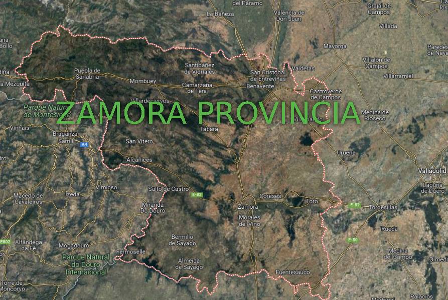 Talleres de Descarbonizacion en Zamora provincia