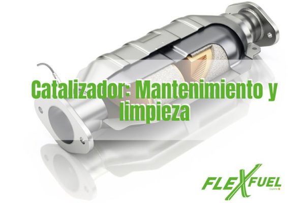 Catalizador mantenimiento y limpieza en talleres Flexfuel