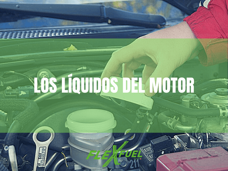 Mantenimiento del vehículo · Los líquidos del motor