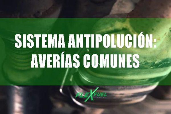 como cuidar sistema antipolucion
