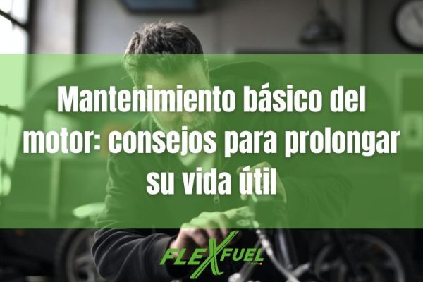Mantenimiento básico del motor consejos para prolongar su vida útil portada